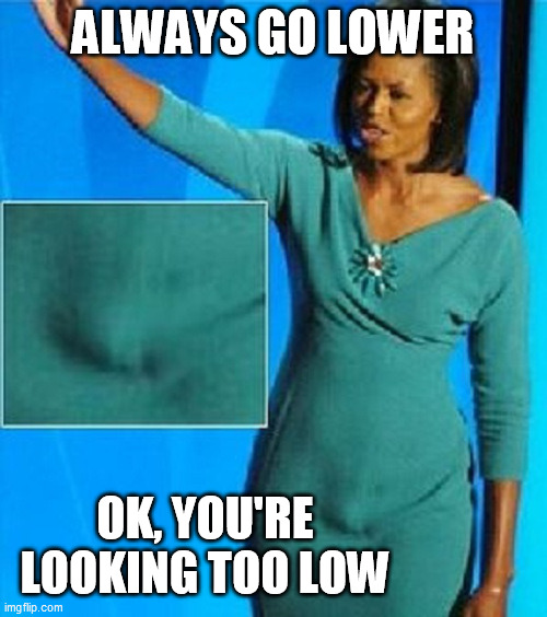 Michelle Obama Has a Penis | ALWAYS GO LOWER OK, YOU'RE LOOKING TOO LOW | image tagged in michelle obama has a penis | made w/ Imgflip meme maker