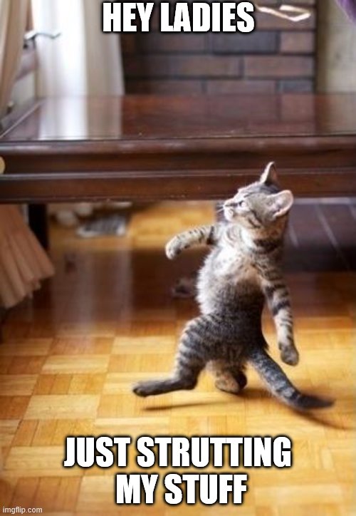 Cool Cat Stroll | HEY LADIES; JUST STRUTTING  MY STUFF | image tagged in memes,cool cat stroll | made w/ Imgflip meme maker