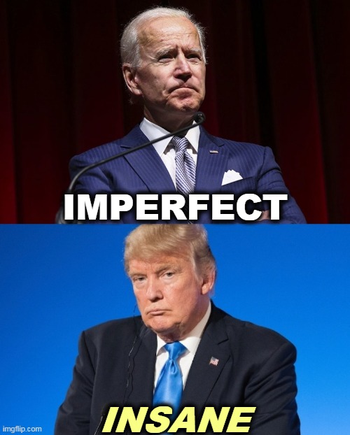 The Adderall Kid is dilated again. | IMPERFECT; INSANE | image tagged in joe biden,human,trump,insane,nuts,cuckoo | made w/ Imgflip meme maker