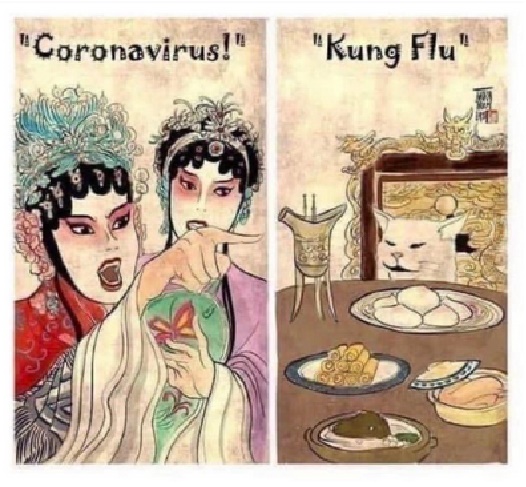 Coronavirus vs Kung Flu Blank Meme Template