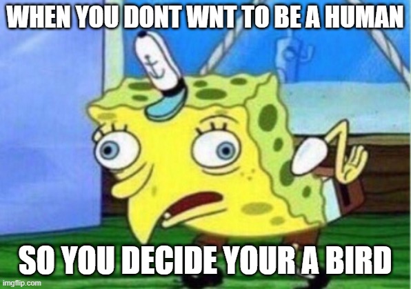 Mocking Spongebob | WHEN YOU DONT WNT TO BE A HUMAN; SO YOU DECIDE YOUR A BIRD | image tagged in memes,mocking spongebob | made w/ Imgflip meme maker