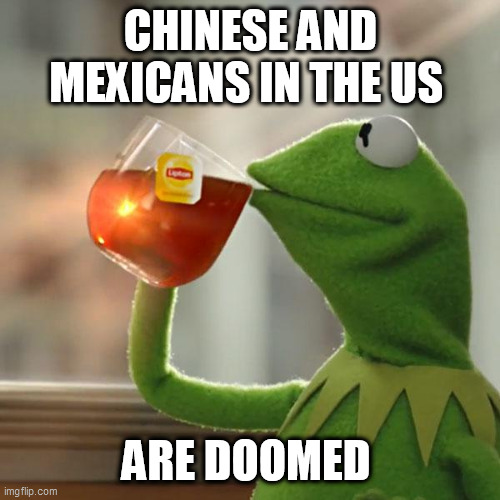 But That's None Of My Business Meme | CHINESE AND MEXICANS IN THE US; ARE DOOMED | image tagged in memes,but thats none of my business,kermit the frog | made w/ Imgflip meme maker