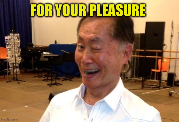 Winking George Takei | FOR YOUR PLEASURE | image tagged in winking george takei | made w/ Imgflip meme maker