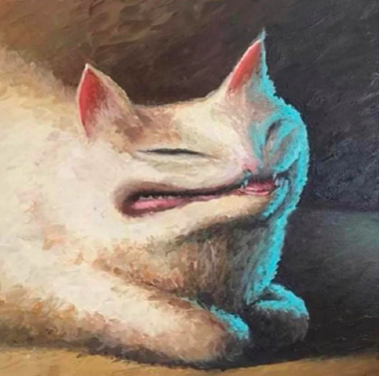 Scowling Cat Blank Meme Template