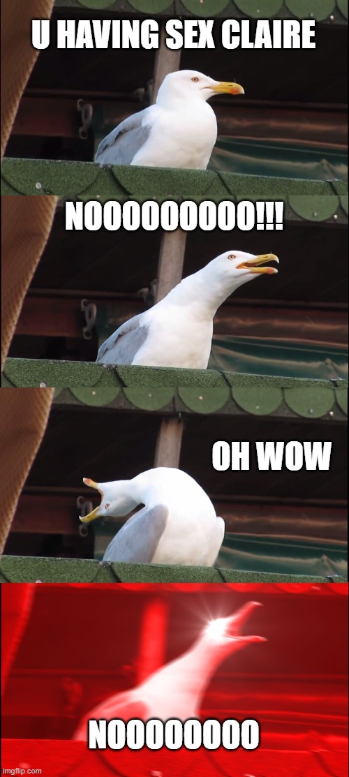 Inhaling Seagull Meme | U HAVING SEX CLAIRE; NOOOOOOOOO!!! OH WOW; NOOOOOOOO | image tagged in memes,inhaling seagull | made w/ Imgflip meme maker