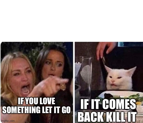 Lady screams at cat | IF IT COMES BACK KILL IT; IF YOU LOVE SOMETHING LET IT GO | image tagged in lady screams at cat | made w/ Imgflip meme maker