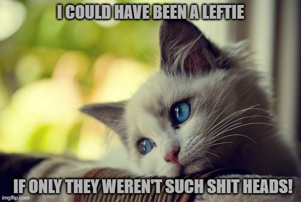 First World Problems Cat | I COULD HAVE BEEN A LEFTIE; IF ONLY THEY WEREN'T SUCH SHIT HEADS! | image tagged in memes,first world problems cat | made w/ Imgflip meme maker