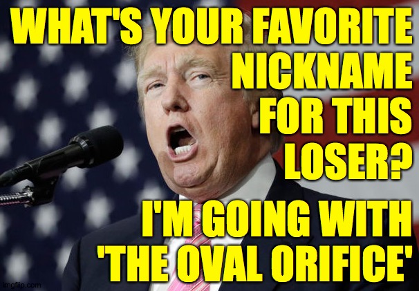 or maybe Half-Baked Potanus. | WHAT'S YOUR FAVORITE
NICKNAME
FOR THIS
LOSER? I'M GOING WITH
'THE OVAL ORIFICE' | image tagged in memes,loser trump | made w/ Imgflip meme maker