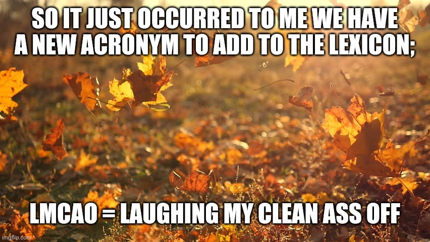 The odd things one thinks of when one has just woken up | SO IT JUST OCCURRED TO ME WE HAVE A NEW ACRONYM TO ADD TO THE LEXICON;; LMCAO = LAUGHING MY CLEAN ASS OFF | image tagged in memes,fun,lmcao | made w/ Imgflip meme maker