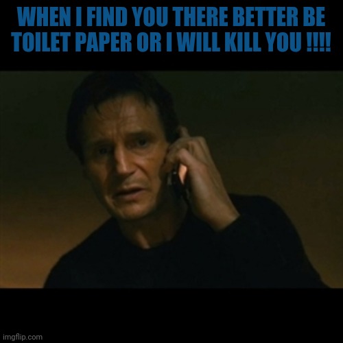 Liam Neeson Taken Meme | WHEN I FIND YOU THERE BETTER BE TOILET PAPER OR I WILL KILL YOU !!!! | image tagged in memes,liam neeson taken | made w/ Imgflip meme maker