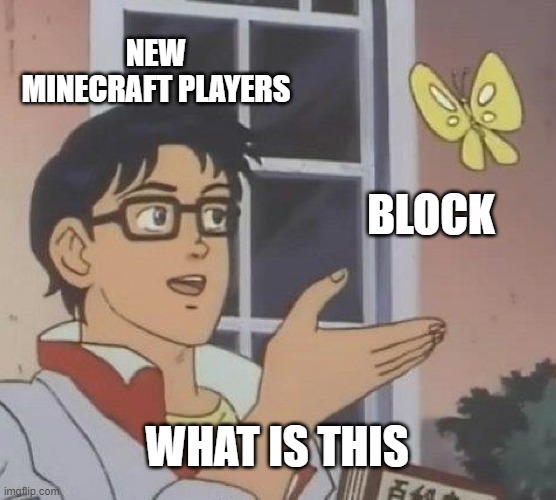 New mc players | NEW MINECRAFT PLAYERS; BLOCK; WHAT IS THIS | image tagged in memes,is this a pigeon | made w/ Imgflip meme maker