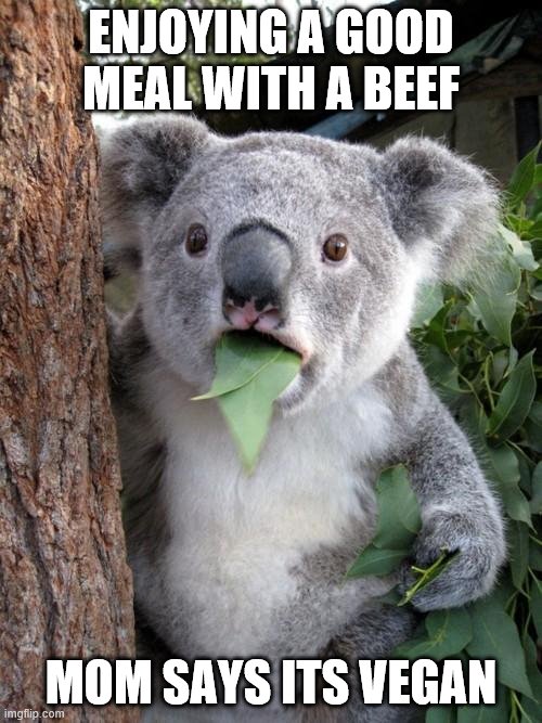 Surprised Koala Meme | ENJOYING A GOOD MEAL WITH A BEEF; MOM SAYS ITS VEGAN | image tagged in memes,surprised koala | made w/ Imgflip meme maker