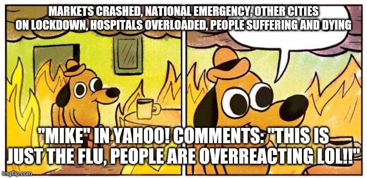 Dog house fire | MARKETS CRASHED, NATIONAL EMERGENCY, OTHER CITIES ON LOCKDOWN, HOSPITALS OVERLOADED, PEOPLE SUFFERING AND DYING; "MIKE" IN YAHOO! COMMENTS: "THIS IS JUST THE FLU, PEOPLE ARE OVERREACTING LOL!!" | image tagged in dog house fire | made w/ Imgflip meme maker