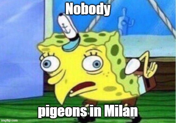Mocking Spongebob Meme | Nobody; pigeons in Milan | image tagged in memes,mocking spongebob | made w/ Imgflip meme maker