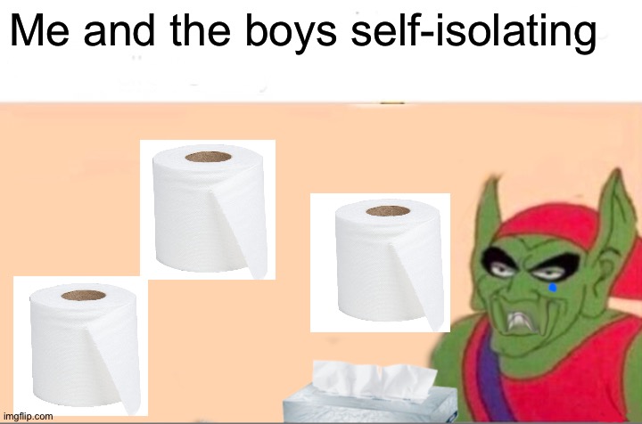 Me and the boys self-isolating | image tagged in me and the boys,toilet paper,coronavirus,fun,funny,memes | made w/ Imgflip meme maker