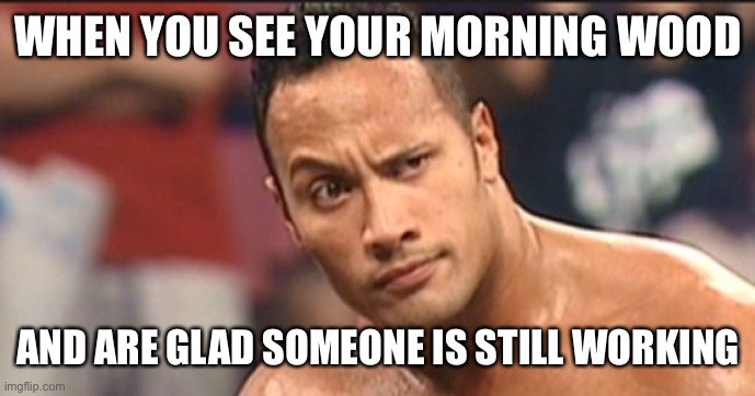The Rock Eyebrow | WHEN YOU SEE YOUR MORNING WOOD; AND ARE GLAD SOMEONE IS STILL WORKING | image tagged in the rock eyebrow | made w/ Imgflip meme maker