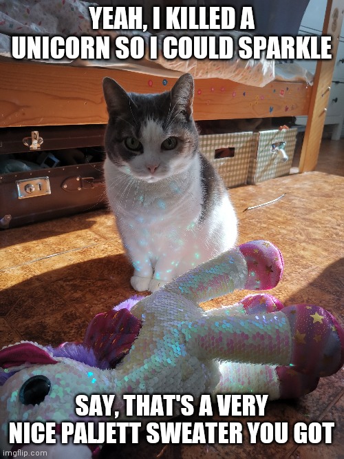 YEAH, I KILLED A UNICORN SO I COULD SPARKLE; SAY, THAT'S A VERY NICE PALJETT SWEATER YOU GOT | image tagged in cat,sparkling | made w/ Imgflip meme maker