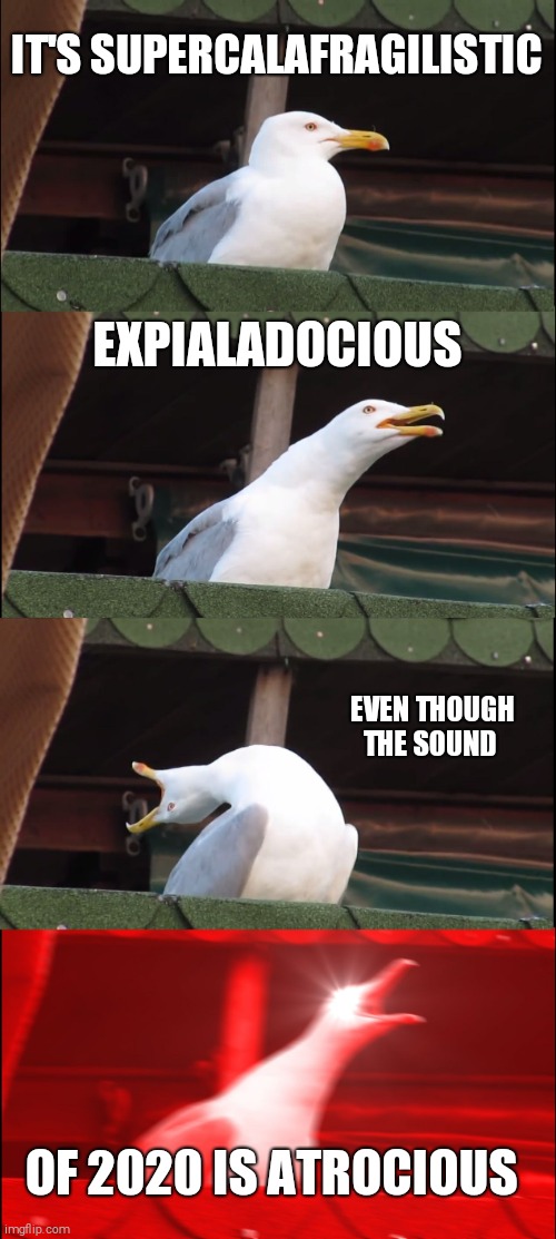 Inhaling Seagull | IT'S SUPERCALAFRAGILISTIC; EXPIALADOCIOUS; EVEN THOUGH THE SOUND; OF 2020 IS ATROCIOUS | image tagged in memes,inhaling seagull | made w/ Imgflip meme maker