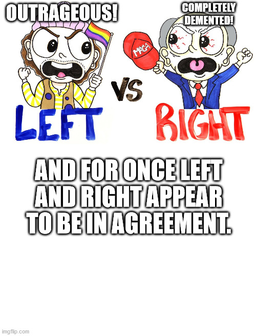 OUTRAGEOUS! COMPLETELY DEMENTED! AND FOR ONCE LEFT AND RIGHT APPEAR TO BE IN AGREEMENT. | image tagged in blank white template | made w/ Imgflip meme maker