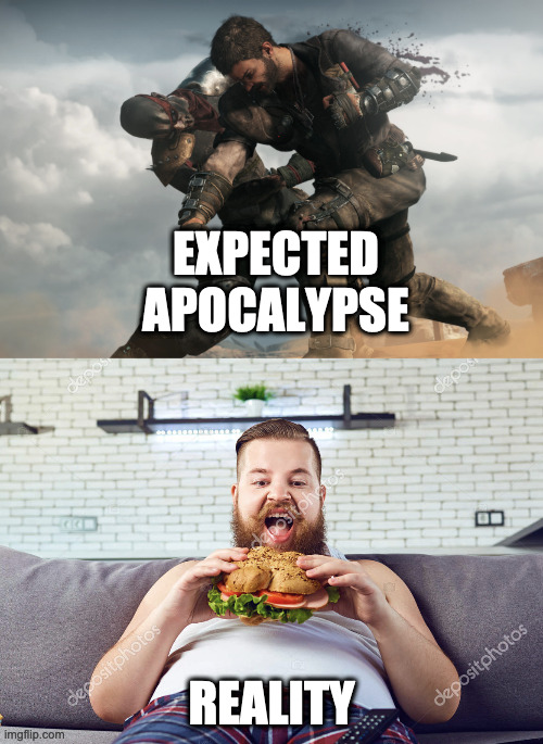 Expected apocalypse vs reality | EXPECTED APOCALYPSE; REALITY | image tagged in apocalypse,coronavirus,corona | made w/ Imgflip meme maker