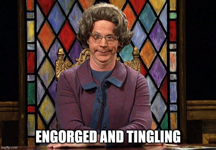The Church Lady | ENGORGED AND TINGLING | image tagged in the church lady | made w/ Imgflip meme maker