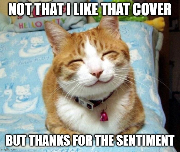 Cute Smiling Cat | NOT THAT I LIKE THAT COVER BUT THANKS FOR THE SENTIMENT | image tagged in cute smiling cat | made w/ Imgflip meme maker