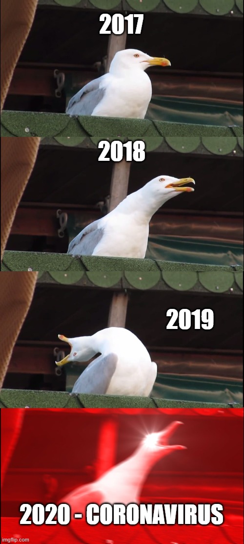 Inhaling Seagull | 2017; 2018; 2019; 2020 - CORONAVIRUS | image tagged in memes,inhaling seagull | made w/ Imgflip meme maker