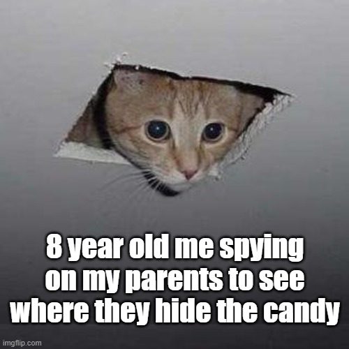 Ceiling Cat Meme | 8 year old me spying on my parents to see where they hide the candy | image tagged in memes,ceiling cat | made w/ Imgflip meme maker