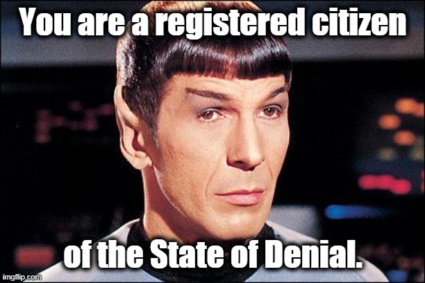 Condescending Spock | You are a registered citizen of the State of Denial. | image tagged in condescending spock | made w/ Imgflip meme maker