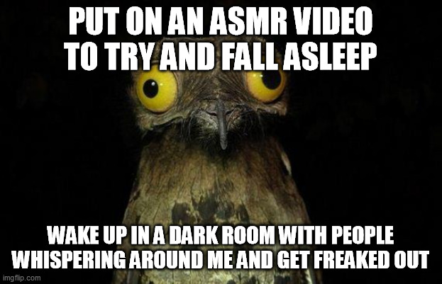 Weird Stuff I Do Potoo | PUT ON AN ASMR VIDEO TO TRY AND FALL ASLEEP; WAKE UP IN A DARK ROOM WITH PEOPLE WHISPERING AROUND ME AND GET FREAKED OUT | image tagged in memes,weird stuff i do potoo,AdviceAnimals | made w/ Imgflip meme maker