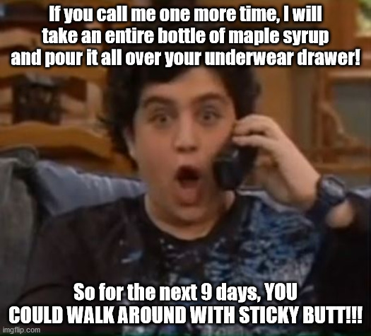 If you call me one more time | If you call me one more time, I will take an entire bottle of maple syrup and pour it all over your underwear drawer! So for the next 9 days, YOU COULD WALK AROUND WITH STICKY BUTT!!! | image tagged in drake and josh,maple syrup | made w/ Imgflip meme maker