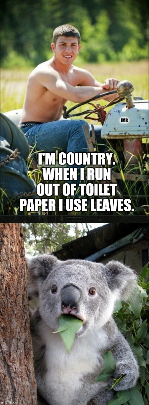 Say What?? | JMR; I'M COUNTRY. WHEN I RUN OUT OF TOILET PAPER I USE LEAVES. | image tagged in country boy,coronavirus,surprised koala,toilet paper | made w/ Imgflip meme maker