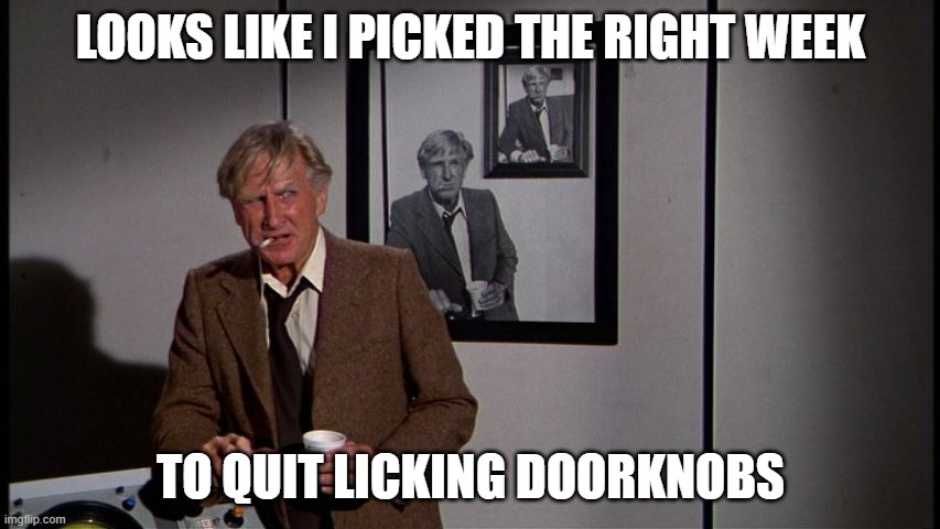 Lloyd Bridges Airplane | LOOKS LIKE I PICKED THE RIGHT WEEK; TO QUIT LICKING DOORKNOBS | image tagged in lloyd bridges airplane | made w/ Imgflip meme maker