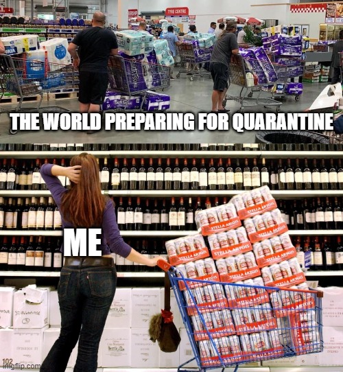 You got to be ready | ME; THE WORLD PREPARING FOR QUARANTINE | image tagged in quarantine,coronavirus,beer,toilet paper,be prepared | made w/ Imgflip meme maker