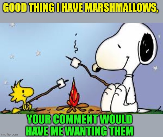 Roasting Marshmallows | GOOD THING I HAVE MARSHMALLOWS, YOUR COMMENT WOULD HAVE ME WANTING THEM | image tagged in roasting marshmallows | made w/ Imgflip meme maker