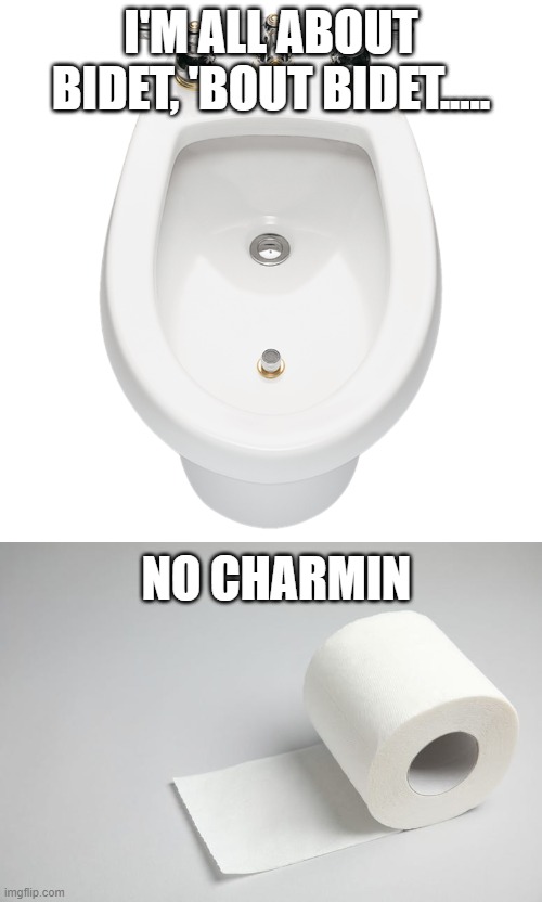sung to the song "all about that bass..." | I'M ALL ABOUT BIDET, 'BOUT BIDET..... NO CHARMIN | image tagged in all about that bass | made w/ Imgflip meme maker
