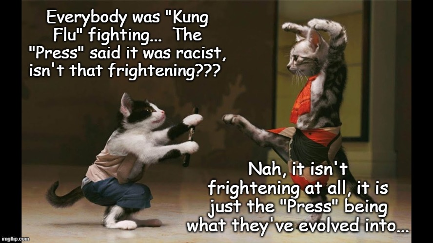 "Kung Flu", now that's funny... | Everybody was "Kung Flu" fighting...  The "Press" said it was racist, isn't that frightening??? Nah, it isn't frightening at all, it is just the "Press" being what they've evolved into... | image tagged in flu,kung,cats,press | made w/ Imgflip meme maker