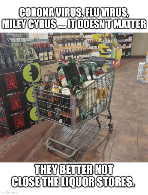 Internal body sanitizer | CORONA VIRUS, FLU VIRUS, MILEY CYRUS .... IT DOESN’T MATTER; THEY BETTER NOT CLOSE THE LIQUOR STORES. | image tagged in internal body sanitizer | made w/ Imgflip meme maker