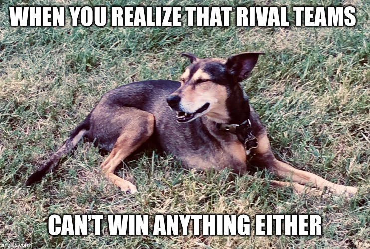 Wendy the Happy Dog | WHEN YOU REALIZE THAT RIVAL TEAMS; CAN’T WIN ANYTHING EITHER | image tagged in happy dog | made w/ Imgflip meme maker
