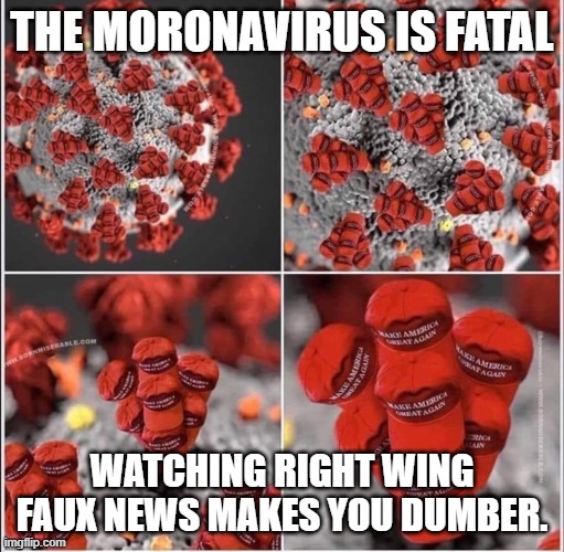 MAGO virus | THE MORONAVIRUS IS FATAL; WATCHING RIGHT WING FAUX NEWS MAKES YOU DUMBER. | image tagged in mago virus | made w/ Imgflip meme maker