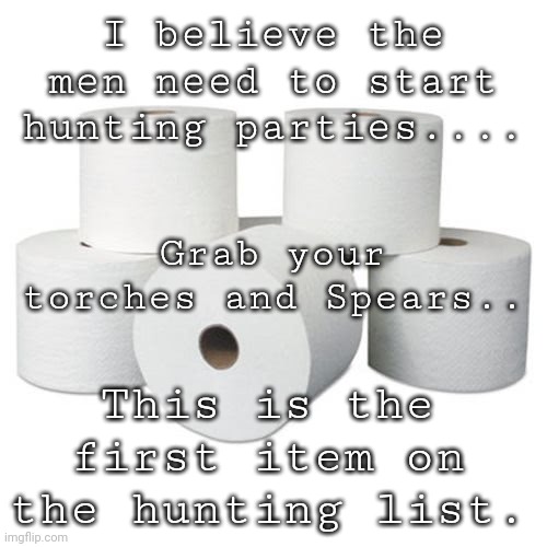 Need toilet paper #toiletpaper #hunter | I believe the men need to start hunting parties.... Grab your torches and Spears.. This is the first item on the hunting list. | image tagged in toilet paper,hunter,need | made w/ Imgflip meme maker