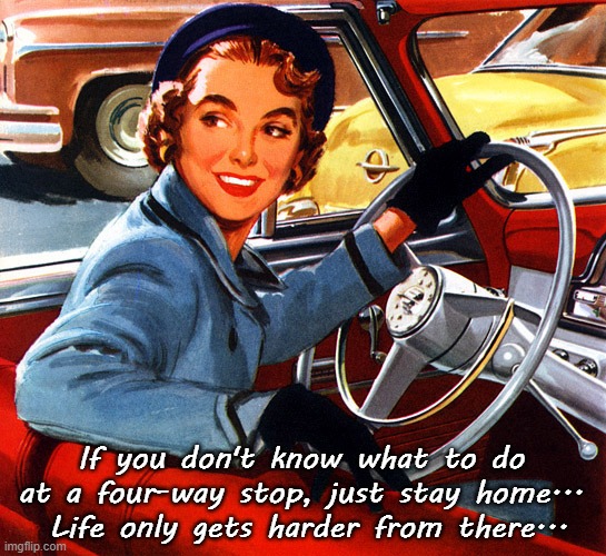 4-way stop... | If you don't know what to do at a four-way stop, just stay home...  Life only gets harder from there... | image tagged in don't know,do,4 way stop,stay home,harder | made w/ Imgflip meme maker