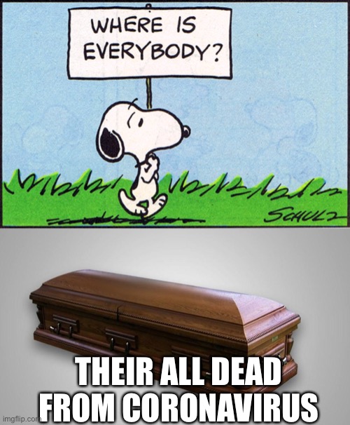 THEIR ALL DEAD
FROM CORONAVIRUS | image tagged in snoopy,coffin | made w/ Imgflip meme maker