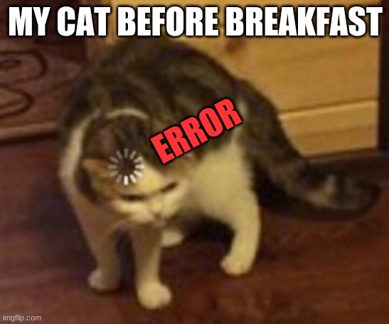 Loading cat | MY CAT BEFORE BREAKFAST; ERROR | image tagged in loading cat | made w/ Imgflip meme maker