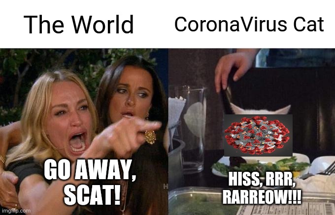 Woman Yelling At Cat | The World; CoronaVirus Cat; GO AWAY,
 SCAT! HISS, RRR, RARREOW!!! | image tagged in memes,woman yelling at cat | made w/ Imgflip meme maker