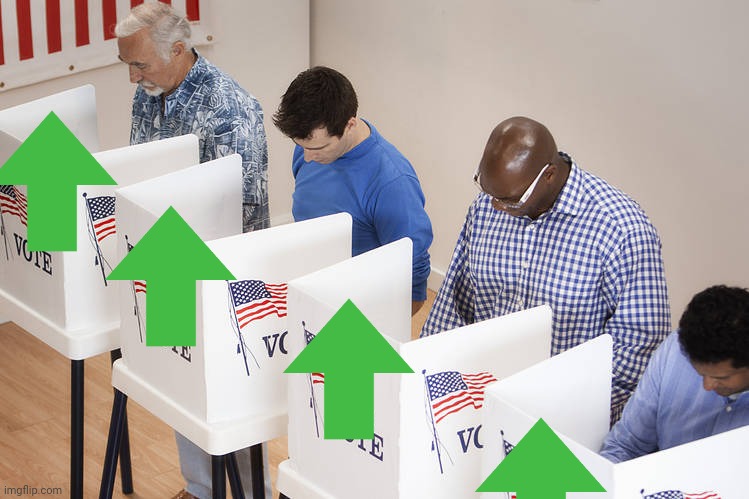 Voters | image tagged in voters | made w/ Imgflip meme maker