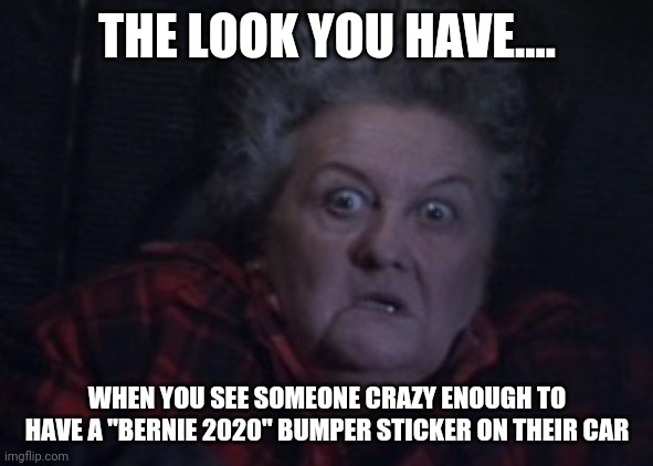 While Bernie has as much chance defeating Trump as a 3 legged Iguana, I still admire folks brave enough to display Bernie signs. | THE LOOK YOU HAVE.... WHEN YOU SEE SOMEONE CRAZY ENOUGH TO HAVE A "BERNIE 2020" BUMPER STICKER ON THEIR CAR | image tagged in large marge,bernie sanders,bumper sticker | made w/ Imgflip meme maker