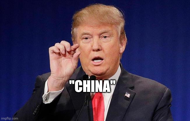 Chinese Virus | "CHINA" | image tagged in trump small fingers,coronavirus,china,racist,lol | made w/ Imgflip meme maker