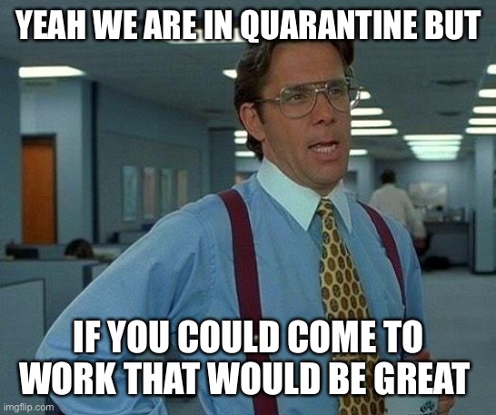 That Would Be Great Meme | YEAH WE ARE IN QUARANTINE BUT; IF YOU COULD COME TO WORK THAT WOULD BE GREAT | image tagged in memes,that would be great | made w/ Imgflip meme maker