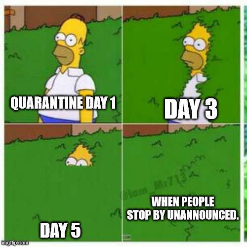 Homer hides | QUARANTINE DAY 1; DAY 3; WHEN PEOPLE STOP BY UNANNOUNCED. DAY 5 | image tagged in homer hides | made w/ Imgflip meme maker